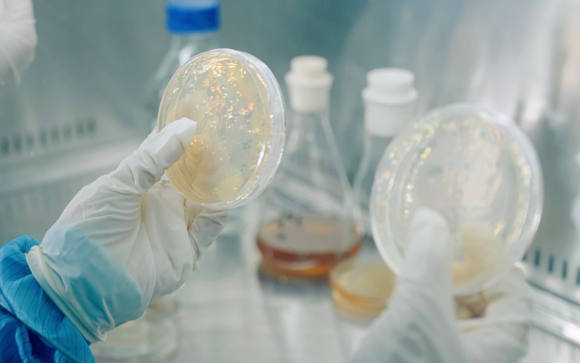 BONNEHEURE science-based collagen development